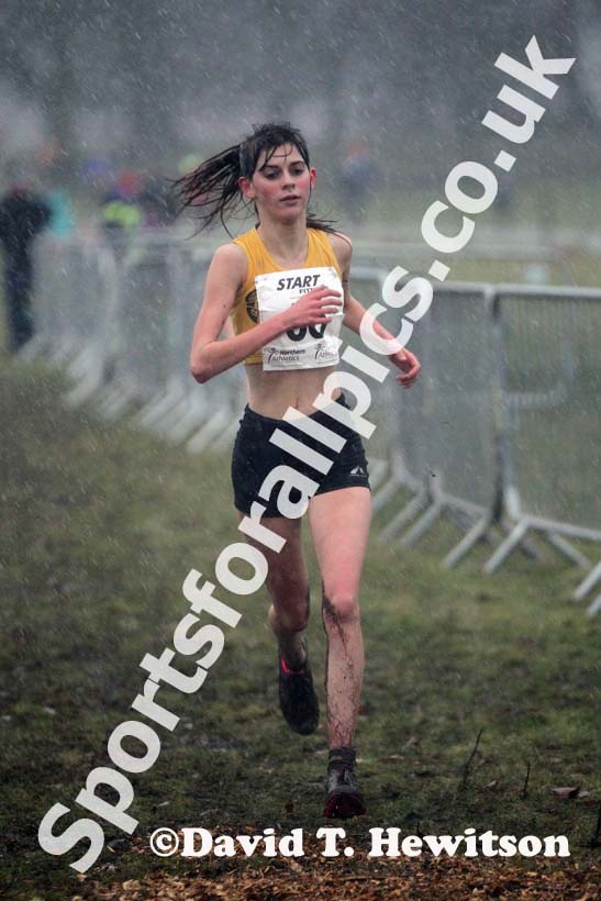 No 66 under-15 girls Northern Cross Country Champs, Knowsley Safari Park. Photo: David T. Hewitson/Sports for All Pics